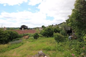 Communal Garden- click for photo gallery